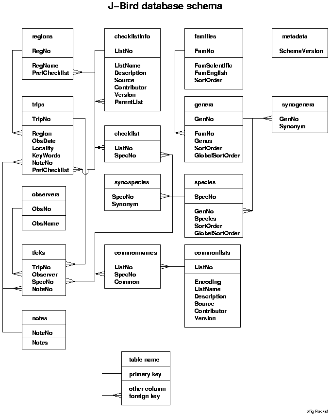 Database Schema